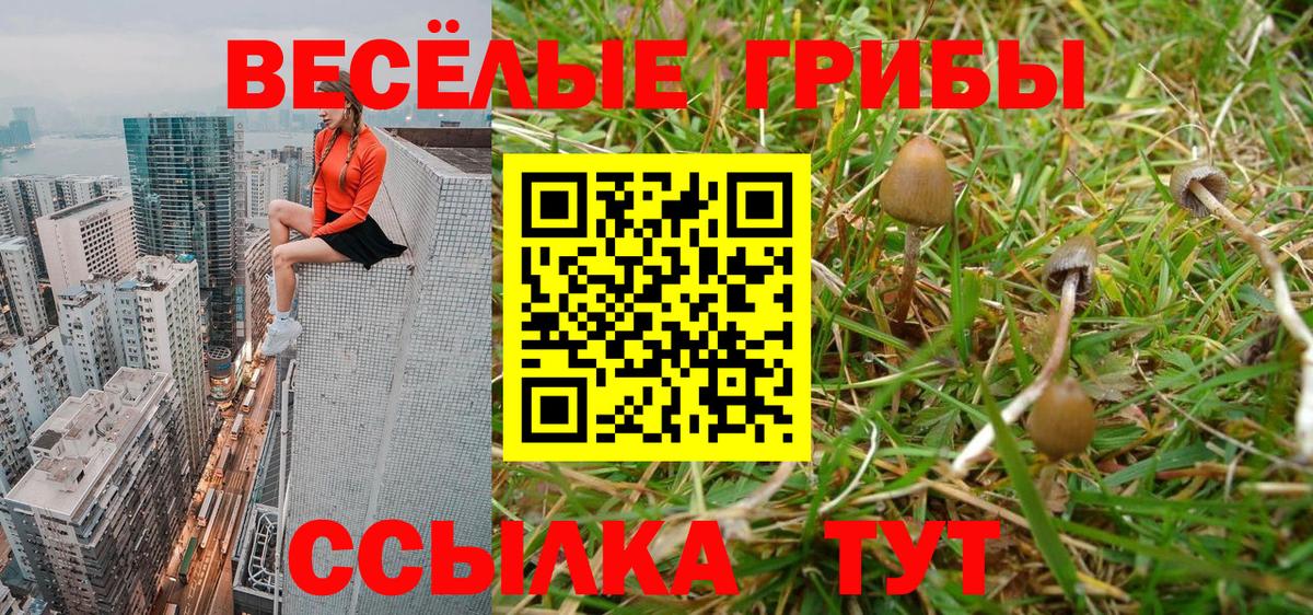 цены наркотик  Вход с VPN  Реутов  Галлюциногенные грибы GOLDEN TEACHER 